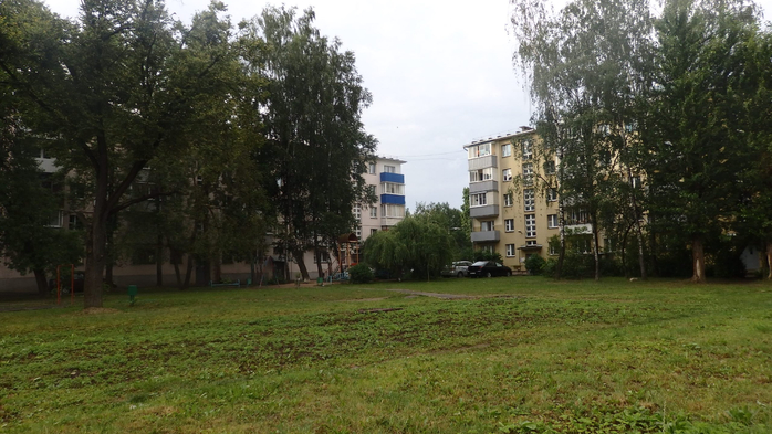 P6170009 (700x393, 335Kb)
