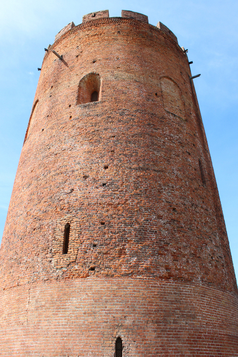 IMG_2376 (466x700, 588Kb)