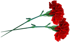 1359610_92c83 (300x181, 13Kb)