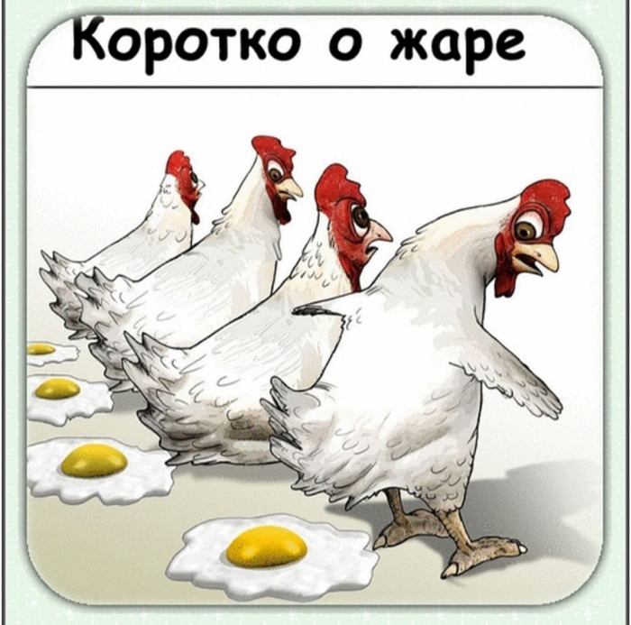 3416556_449787988_1819804961863224_7987310726548168325_n (700x693, 275Kb)