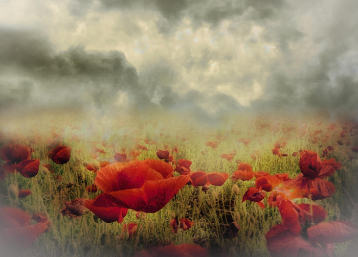 poppies-from-heaven-vintage-zeana-romanovna (700x503, 328Kb)