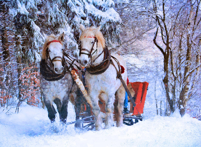 winter-horses-georgiana-romanovna (700x514, 642Kb)