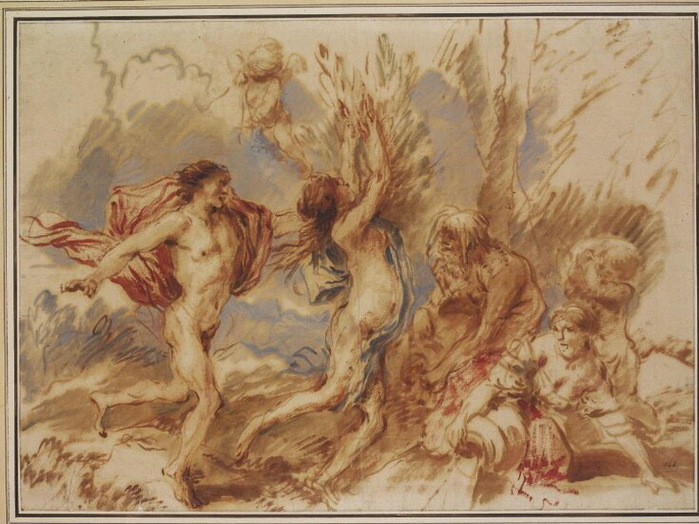 1630-1664 Apollo and Daphne. , . 28  36 .    ,  (700x524, 127Kb)