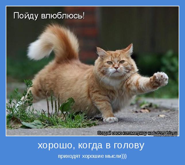 4743317_motivator68003 (644x574, 51Kb)