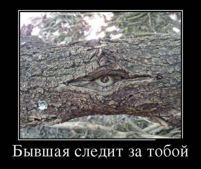 4743317_1440134698_22 (700x590, 60Kb)