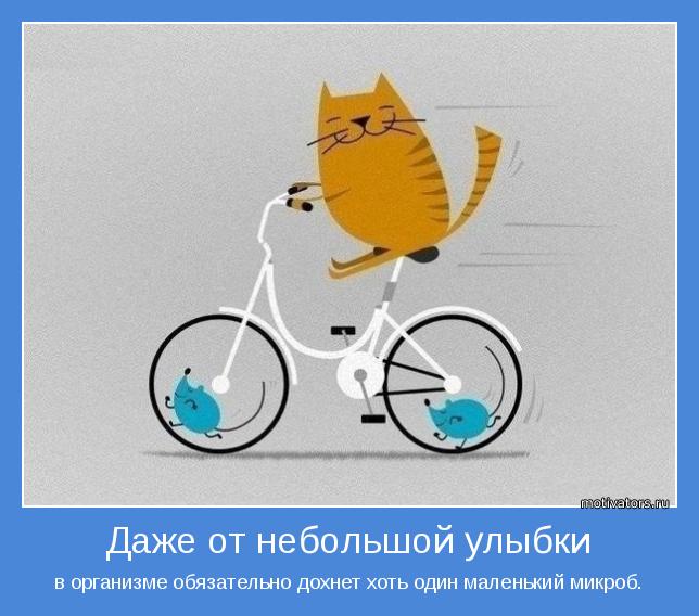 4743317_motivator67922 (644x568, 49Kb)