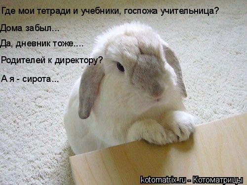 4743317_2s (500x375, 39Kb)