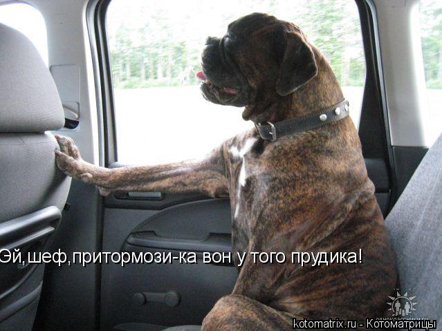 4743317_Ww (639x479, 52Kb)