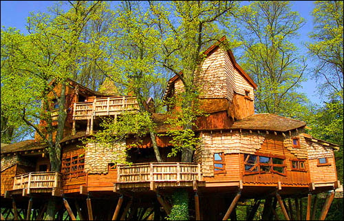 treehouse2 (500x321, 156Kb)