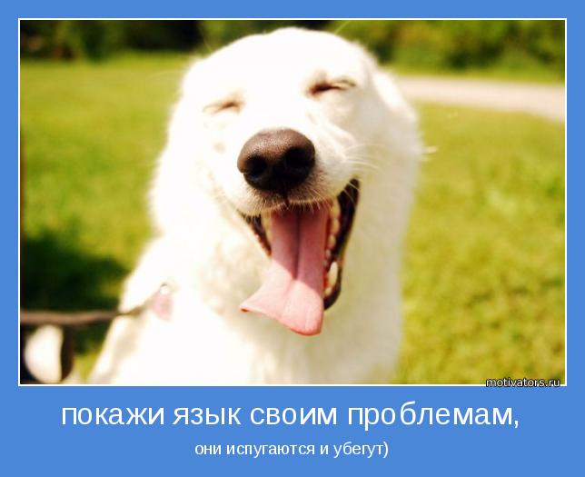 4743317_motivator68422 (644x525, 33Kb)