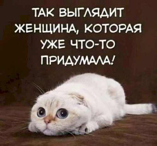 4743317_390b15b3 (500x464, 37Kb)