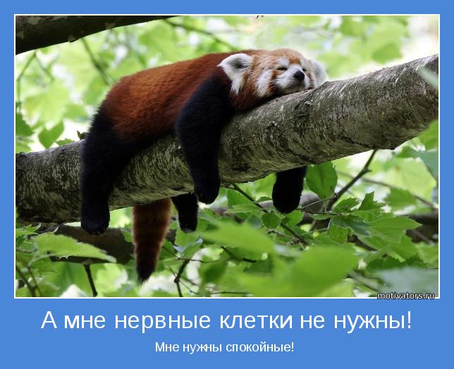 4743317_motivator68823 (644x524, 54Kb)