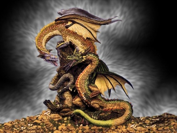 4743317_w_p_dragons1 (700x525, 92Kb)