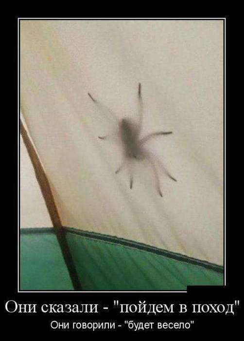 4743317_1440134690_09 (502x700, 26Kb)