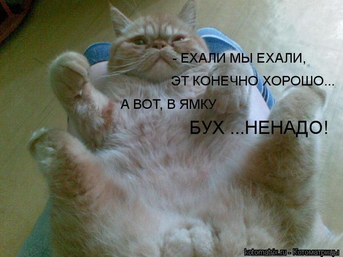 4743317_Vt (700x524, 47Kb)