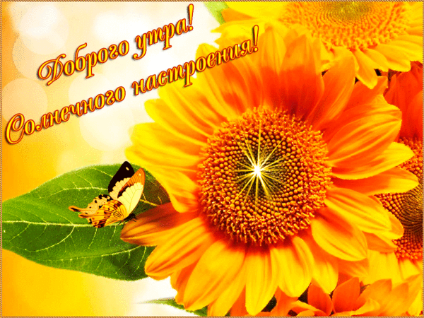 4743317_i36226 (600x450, 2030Kb)