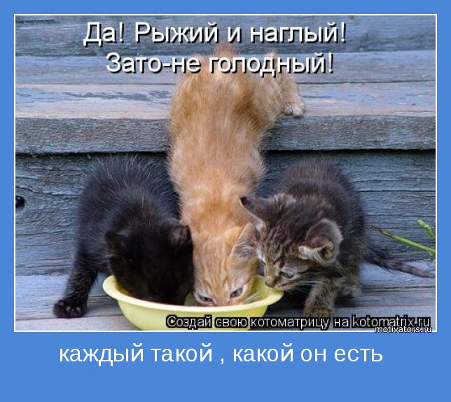 4743317_motivator69750 (644x574, 65Kb)