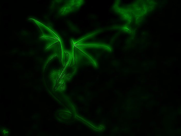 4743317_w_p_dragon160307291 (700x525, 19Kb)