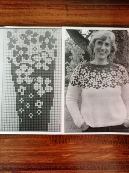 434231072_122130085274159563_1006193880302596329_n (525x700, 270Kb)