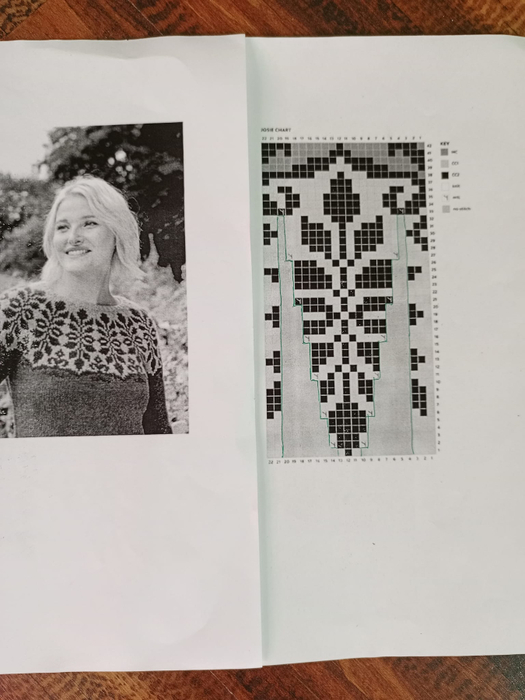 434245902_122130085730159563_5637503712516385227_n (525x700, 222Kb)