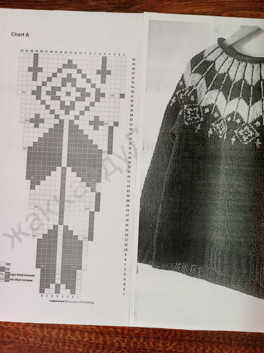 434254895_122130086006159563_4377481278371742890_n (525x700, 284Kb)