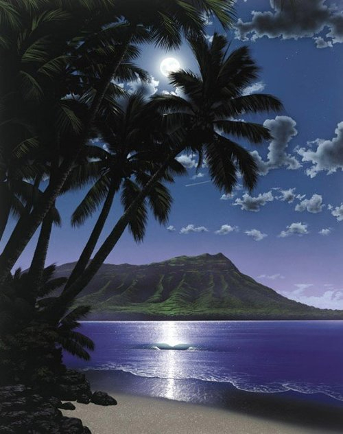 Steven_Power_Diamond_Head_Dream_2001__Hawaii (500x632, 182Kb)