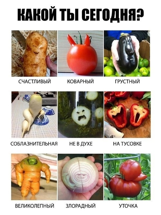 e7rMcrqrs2s (525x700, 131Kb)
