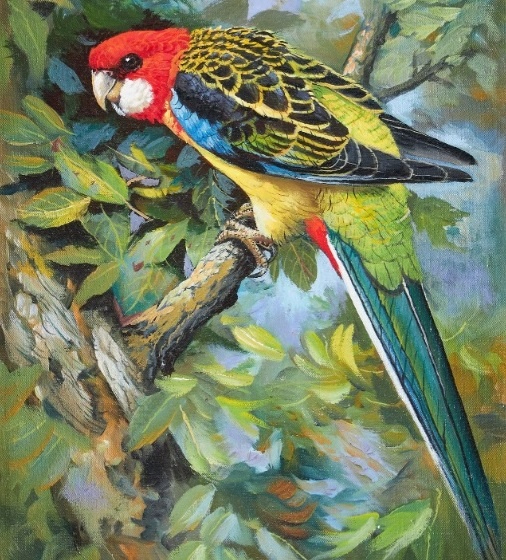 4 (506x560, 346Kb)