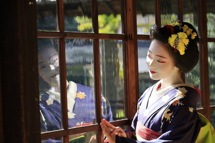 ０ーflickr_maiko_89655e780845c65c9 (700x466, 71Kb)