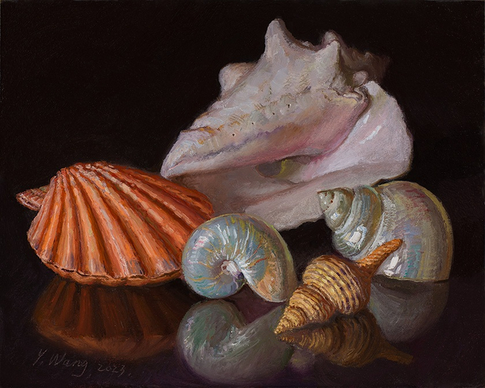 230530-seashells-commission10x8 (700x560, 387Kb)