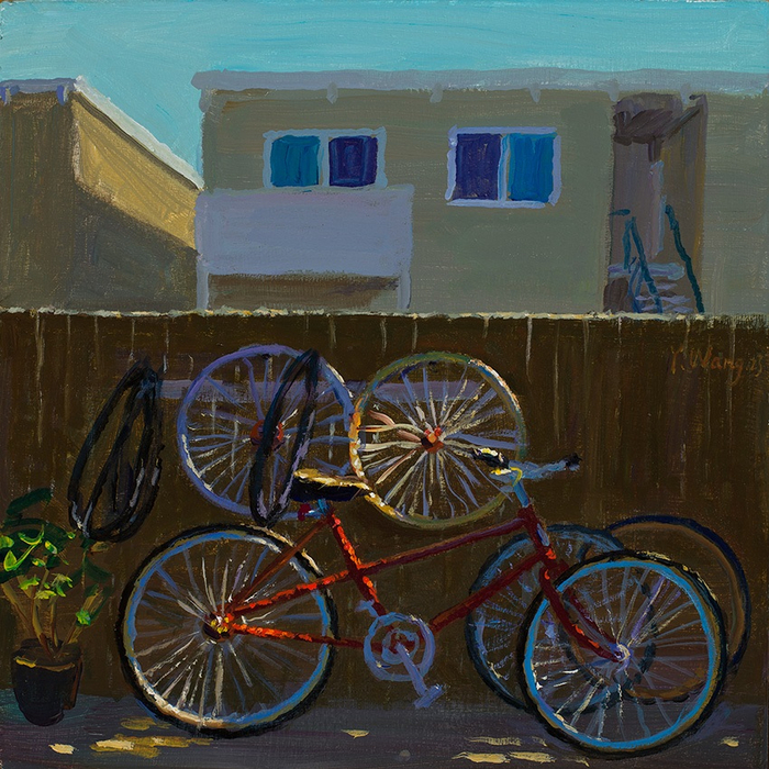 230121-light-and-shadow-in-the-patio-bike-10x10 (700x700, 597Kb)