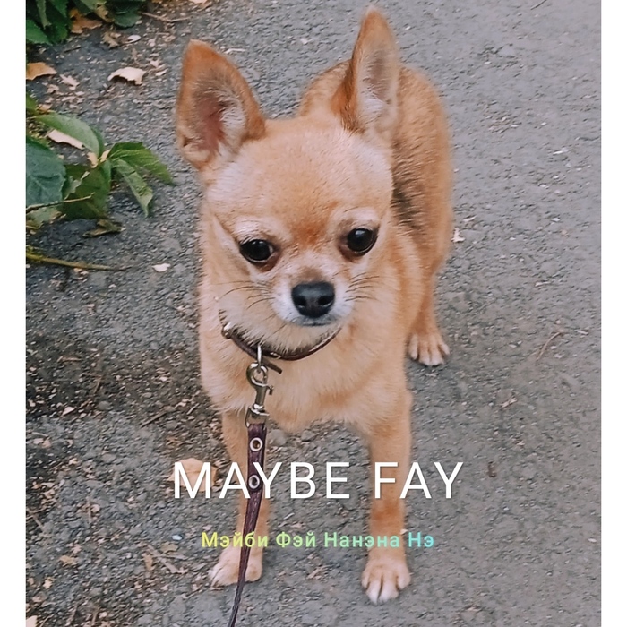   MAYBE FAY     (700x700, 256Kb)