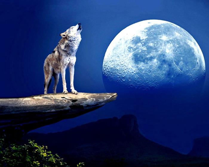 wolf-moon-art-fantasy (700x560, 98Kb)