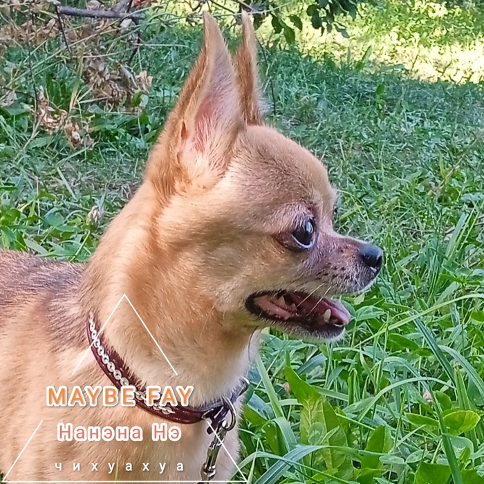 MAYBE FAY     1 (700x700, 326Kb)