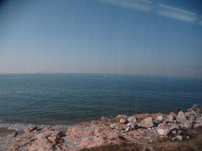 DSC00447 (700x525, 321Kb)