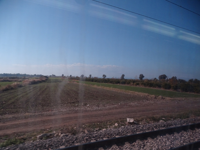 DSC00470 (700x525, 320Kb)