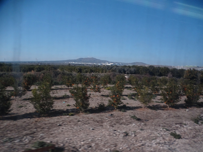 DSC00476 (700x525, 353Kb)