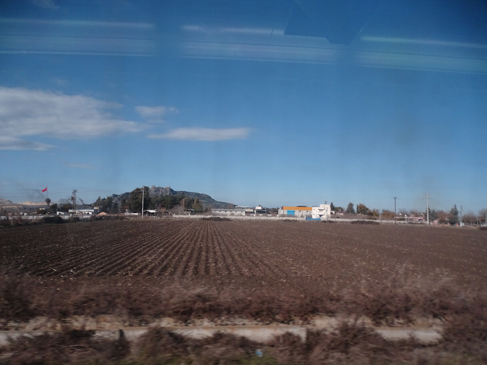 DSC00490 (700x525, 318Kb)