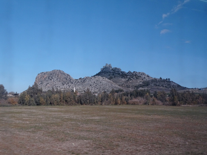 DSC00494 (700x525, 332Kb)