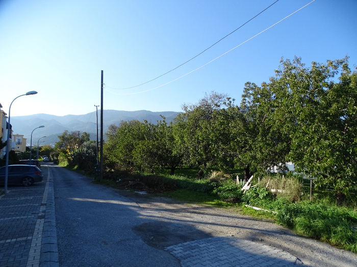 DSC00504 (700x525, 450Kb)