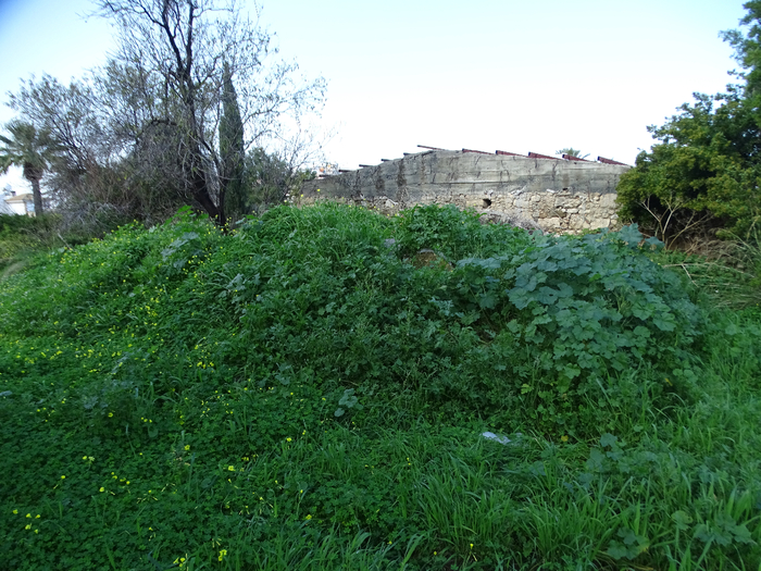DSC00155 (700x525, 511Kb)