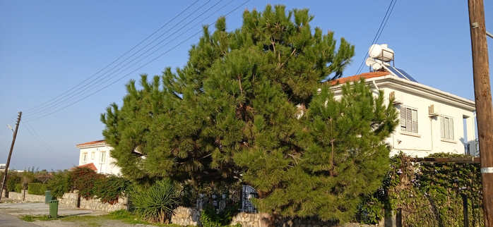 1674641285308 (700x322, 301Kb)