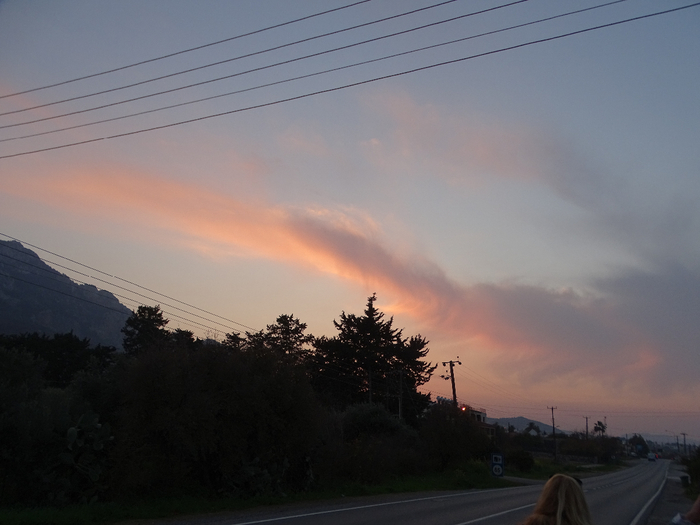 DSC00435 (700x525, 268Kb)