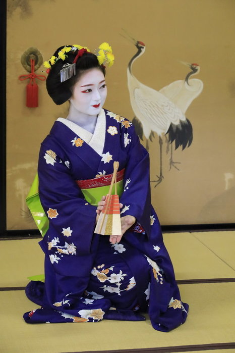 00-flickr_maiko_55725e78081eead17 (466x700, 57Kb)