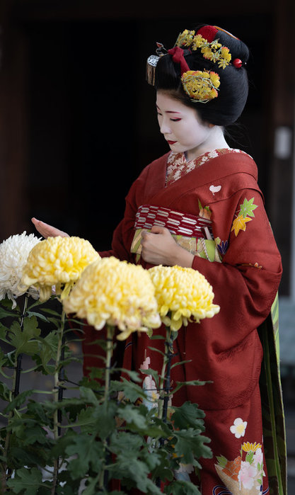 ０ーflickr_maiko_10075e548c87774c4 (417x700, 70Kb)