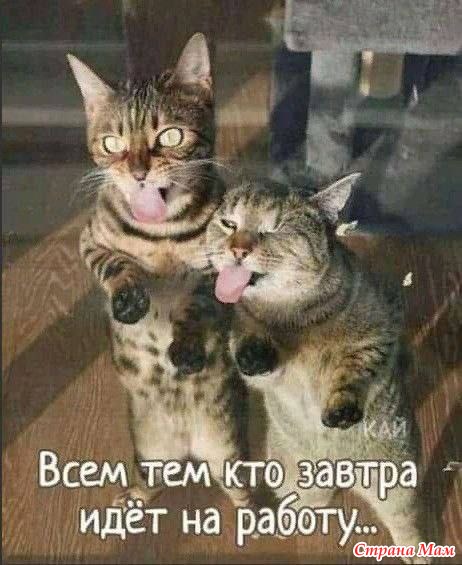 https://img0.liveinternet.ru/images/attach/d/4/162/965/162965410_3416556_27727889_12230nothumb650.jpg