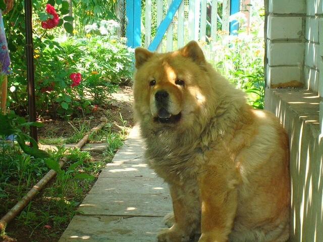 IMG_20240913_101906 (640x480, 99Kb)