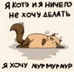 3109898_kote_avi (255x247, 43Kb)