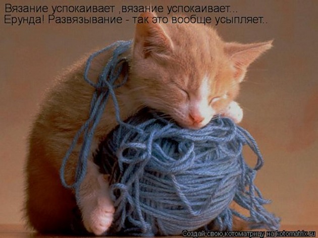 3109898_12_kot_yspoki (630x472, 63Kb)