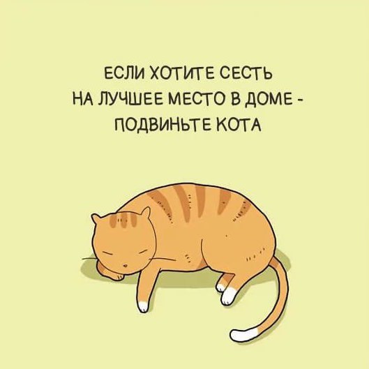 3109898_kosh_mesto (529x529, 24Kb)